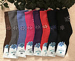 Шкарпетки жіночі на махрі, теплі шкарпетки зимові, фото 2