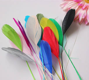 Пір'я-антенки