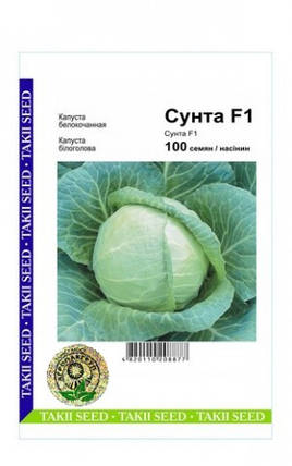 Сунта F1 насіння білокачаної капусти, 100 насіння — рання, щільна, Takii Seeds, фото 1