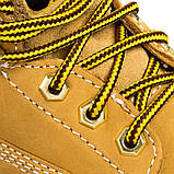 Жіночі черевики Caterpillar Colorado p306831 ОРИГІНАЛ, фото 6