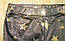 Модні лосини "Зірка" для дівчаток 128-170 термо/мікроначіс/золото, фото 2
