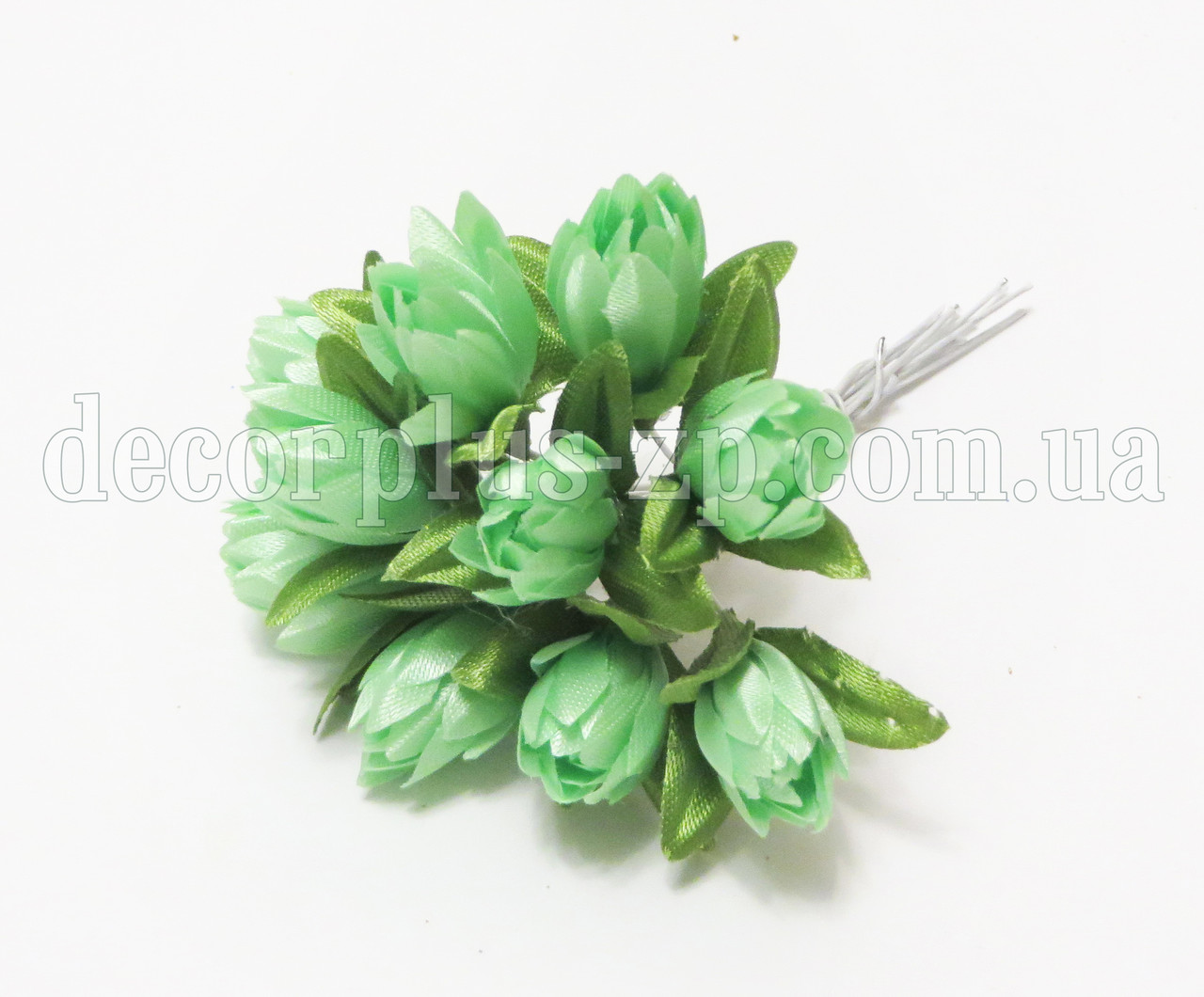 Тюльпанчики міні , м'ятні, фото 1