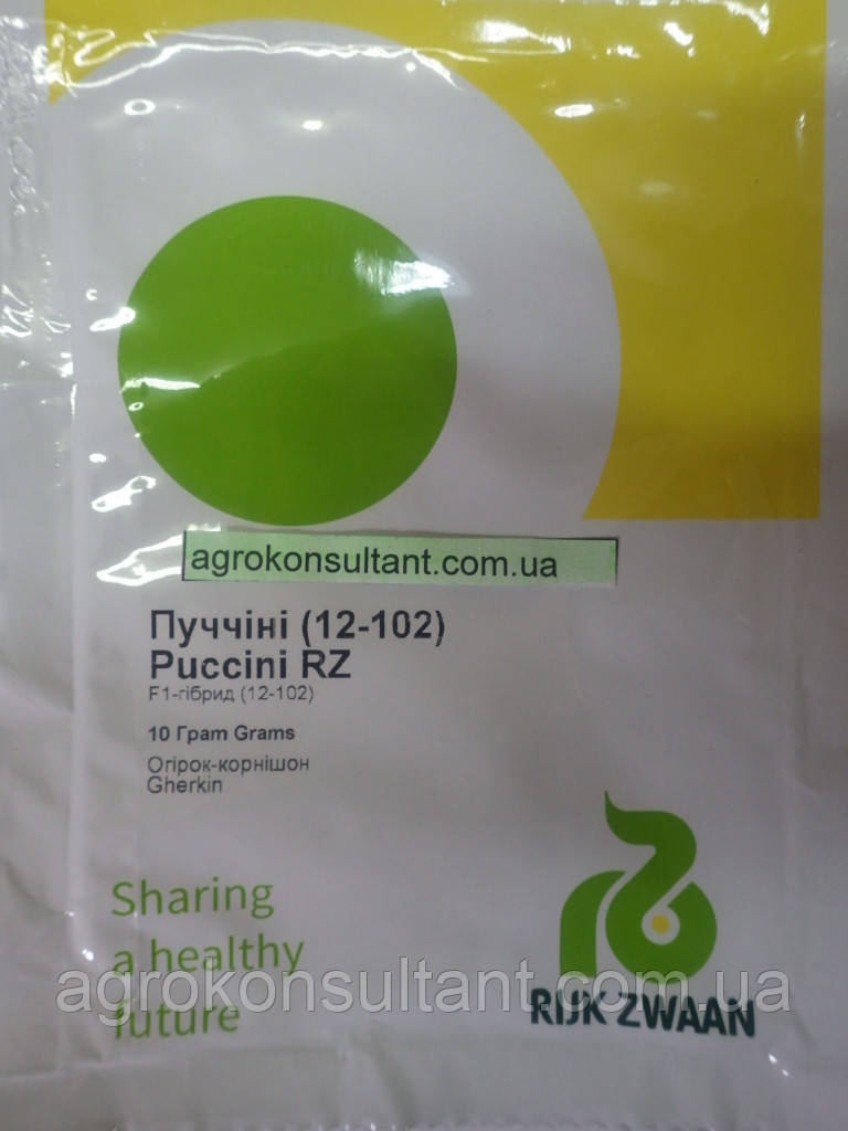Насіння огірка Пучіні \ Пучині F1 (Rijk Zwaan), 10 г - партенокарпік, середньостиглий (42-45 днів), корнішон