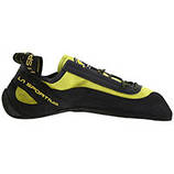 Скельні туфлі