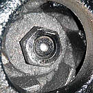 Фекальний насос у нержавіючому корпусі з подрібнювачем WQEURO DELTA WQS 2.5, фото 3