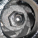 Фекальний насос корпус нержавійка з подрібнювачем WQEURO DELTA WQS 2.5 + шланг 25 метрів, фото 2