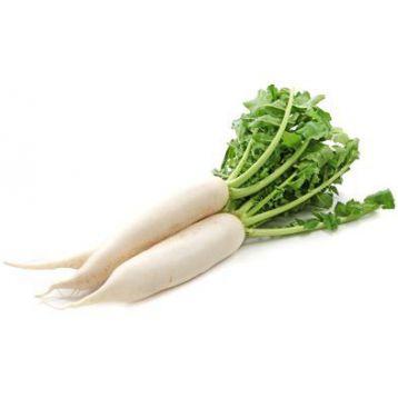 Насіння редьки Вайт Фанг F1 (50 г) Libra Seeds