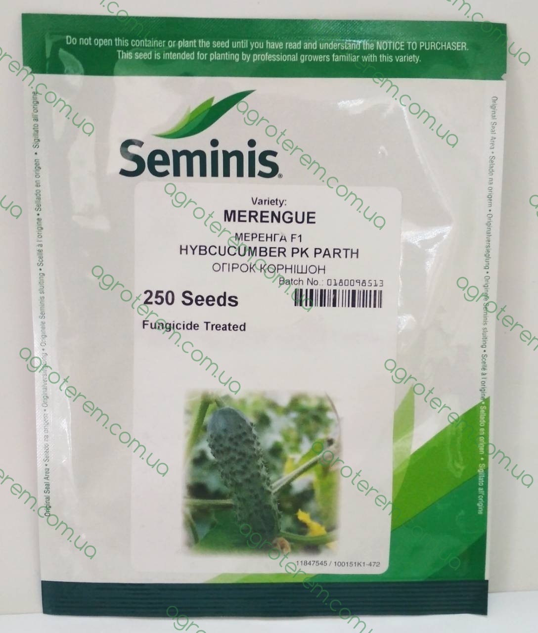 Насіння огірка Меренга (Merengue) F1 250н .