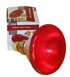 Інфрачервона лампа PAR38 100W для обігріву тварин