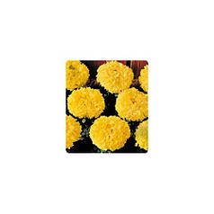 Насіння Чорнобривці американські Чикаго Золотисті Gold 500 насіння Kitano Seeds