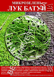 Насіння на мікрозелень «Цибуля Батун» 100 г