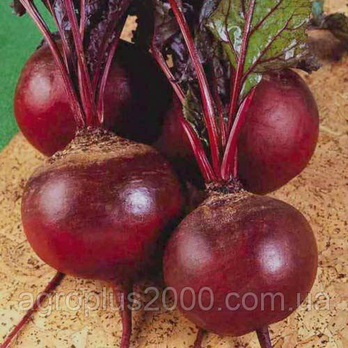 Буряк столовий Червона куля 20 грам PNOS