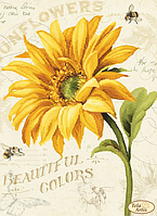 Схема для вишивання бісером Tela Artis Сонечко-1 ТА-393