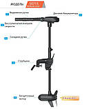Електромотор Haswing Protruar 110 lbs, фото 3