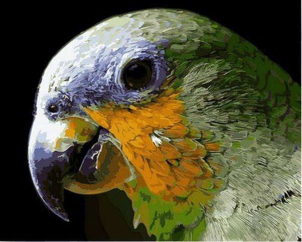 Малюнки по 40x50 см.