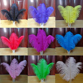 Пір'я страуса