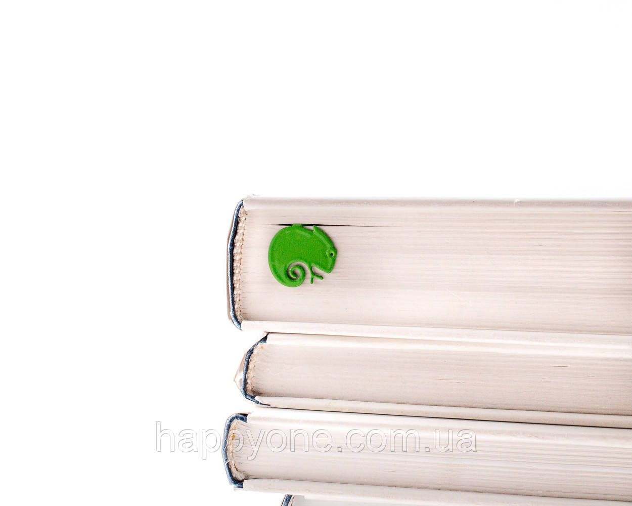 Закладка для книг Хамелеон