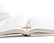 Закладка для книг Золотий Снітч, фото 2