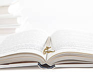 Закладка для книг Золотий Снітч ІІ, фото 4