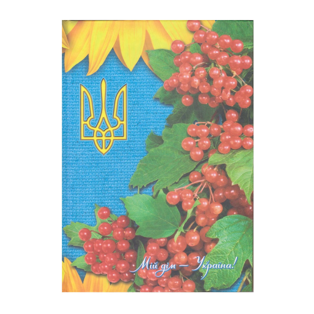Блокнот А5 тверда обкладинка, 160 арк. "Мій дім - Україна"
