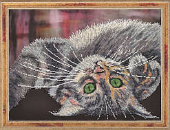 Набор для вышивки бисером ТМ "Картины бисером" Серый неженка Р-124