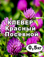 Насіння Клевер червоне, магнічне, пакет 0,5 кг