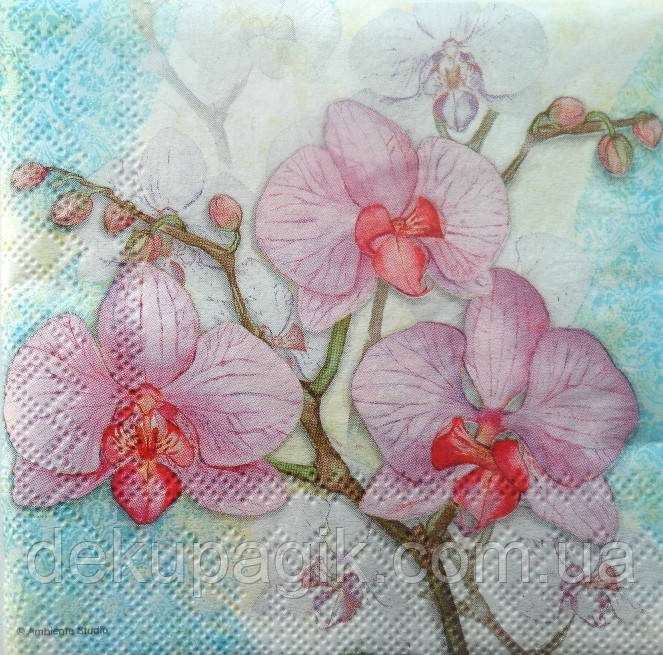 Серветки для декупажу ЦО -6 (25х25см) блакитний фон