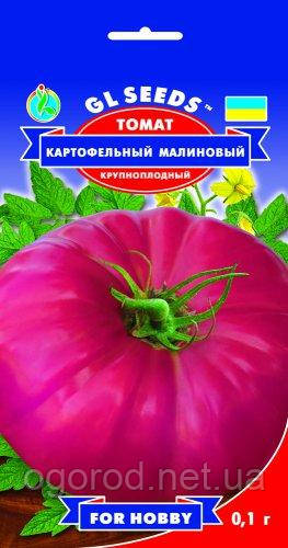 Томат Картопляний малиновий насіння GL Seeds