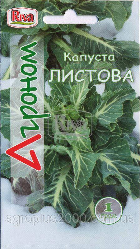 Насіння Капута Листова 1 грам Riva