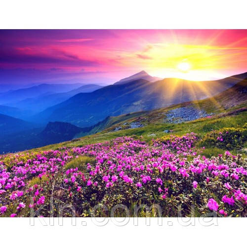 Алмазна вишивка на підрамнику Лавандові поля 30 х 40 см (арт. TN589), фото 1