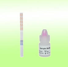 Експрес-тест для визначення антитіл до вірусу гепатиту С, тест смужка.