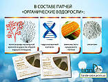 Гідрогелеві патчі для повік «Органічні водорості», фото 5