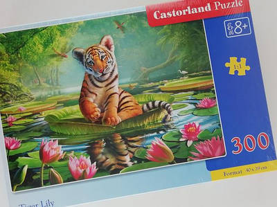 300 елементів (8 років)