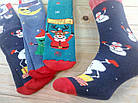 Шкарпетки чоловічому новорічні з махрою всередині "Style Luxe" Україна 41-45 розмір НМС-04331, фото 5