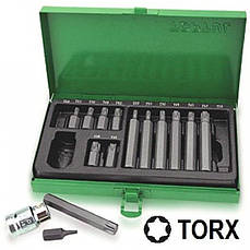 Набір біт Torx Toptul GAAD1506 (15 предметів)