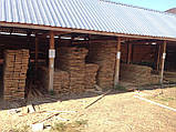 Брус дерев'яний 50х100 мм (сосна), фото 5