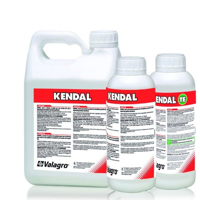 Регулятор роста Kendal Root 10л, фото 1