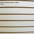 Економ панель біла без вставок, фото 5