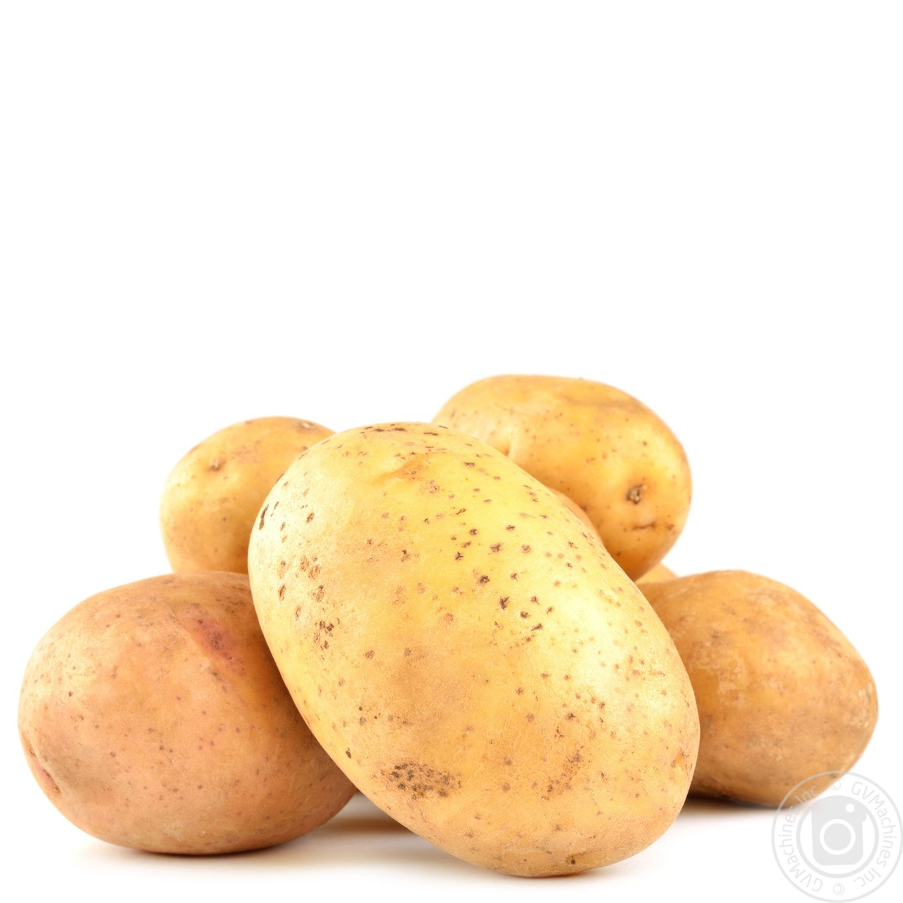 Картофель семенной Саванна, среднеспелый 1 репродукция - фото 1 - id-p804493653