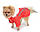 Куртка для собаки Осінь 34/46 см корал, фото 3
