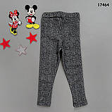 Лосини для дівчинки. 116-122 см, фото 2