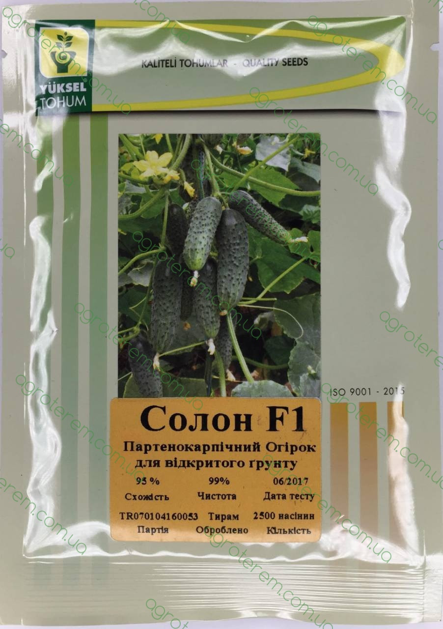 Насіння огірка Солон SOLON F1 2500 н