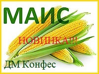 Насіння кукурудзи ДМ КОНФЕС (ФАО – 350) 2018 р.в.