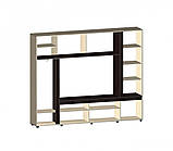 Вітальня Амулет МДФ (Майстер Форм) 2300х400х1900 мм, фото 9