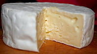 Закваска для сиру з білою цвіллю Penicillium Candidum (500 л)