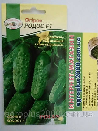 Насіння Огірок бджолозапильний Родос F1, 5 грамів POLAN, фото 1