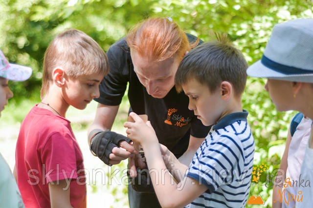 фото квест на природі