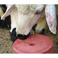 Соль-лизунец для овец и коз SELKO BLOCK 5 кг