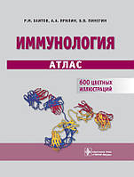 Хаитов Р. М., Ярилин А. А., Пінєгін Б. В. Імунологія. Атлас