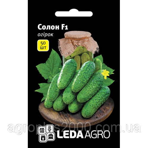 Насіння Огірок самозапильний Солон F1, 50 насінин Yuksel seeds LedaAgro